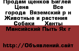 Продам щенков Биглей › Цена ­ 15 000 - Все города, Вяземский р-н Животные и растения » Собаки   . Ханты-Мансийский,Пыть-Ях г.